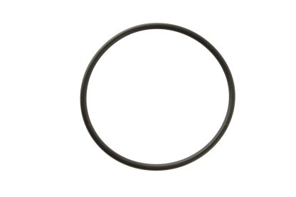 O宮様 CONVERSE ALL STAR BOARDERSTAR OX / SHINYAKOZUKA｜BILLY'S ENT