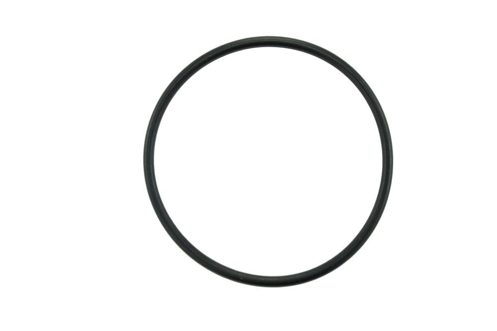 4059172 | Cummins ISX/QSX Water Pump O-Ring, New | Highway