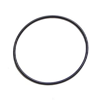 1819099C1 | Navistar DT466E/I530E Water Pump Seal Ring