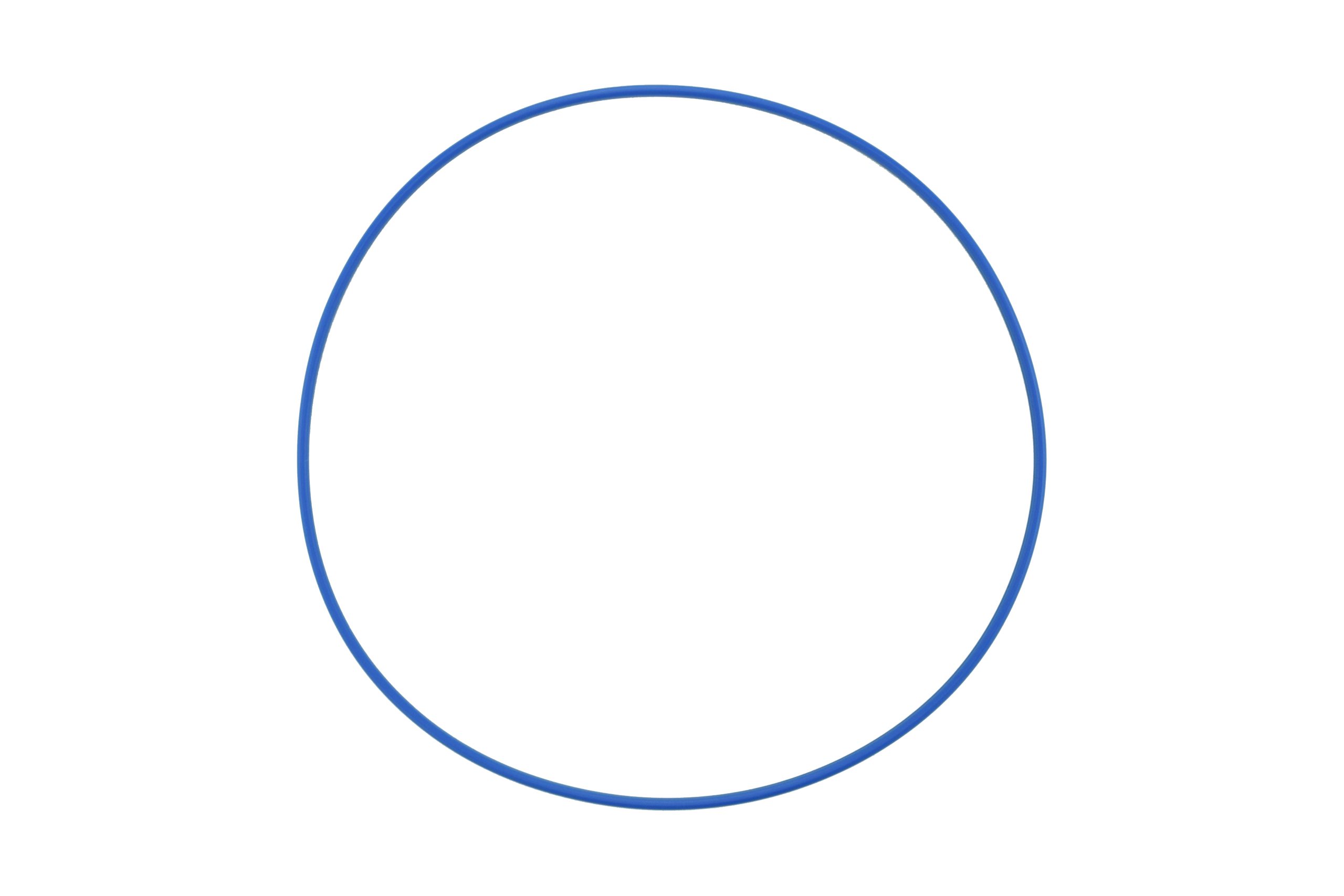 Cummins ISX Cylinder Liner Seal Ring, New (3685234) Cummins ISX Cylinder Liner Seal Ring, New (3685234)