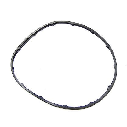 1841350C1 | Oil Pump Gasket for Navistar DT466E, New